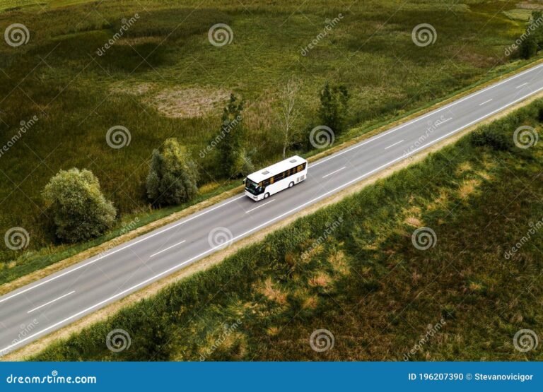 Cómo Encontrar el Mejor Transporte en Santa Rita Brandsen 28 autobus y automovil en carretera rural