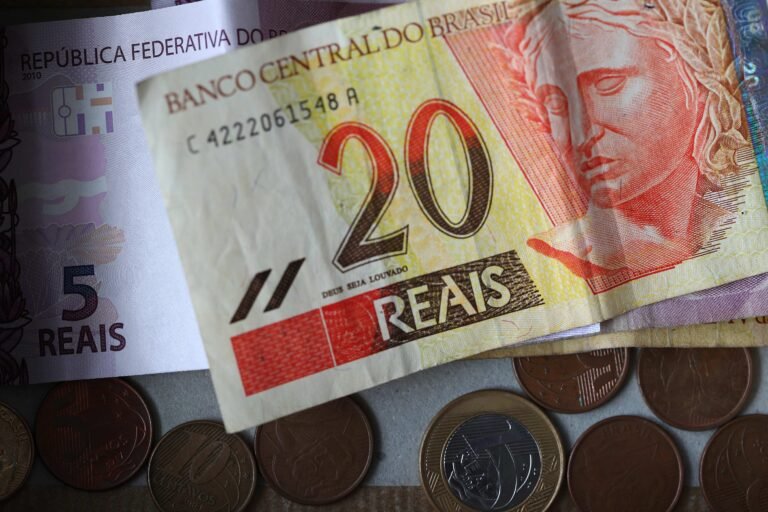 Por qué varía la relación entre el peso argentino y el real brasileño 13 billetes argentinos y reales brasilenos juntos