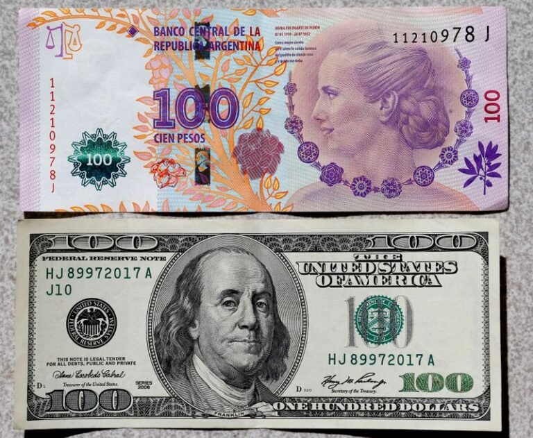 Cómo Pasar de Dólar a Peso Argentino de Manera Segura y Rápida 5 billetes de dolar y peso argentino juntos