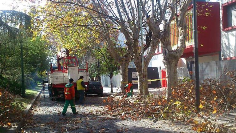 Qué ofertas inmobiliarias hay en Barrio Norte de Villa Allende