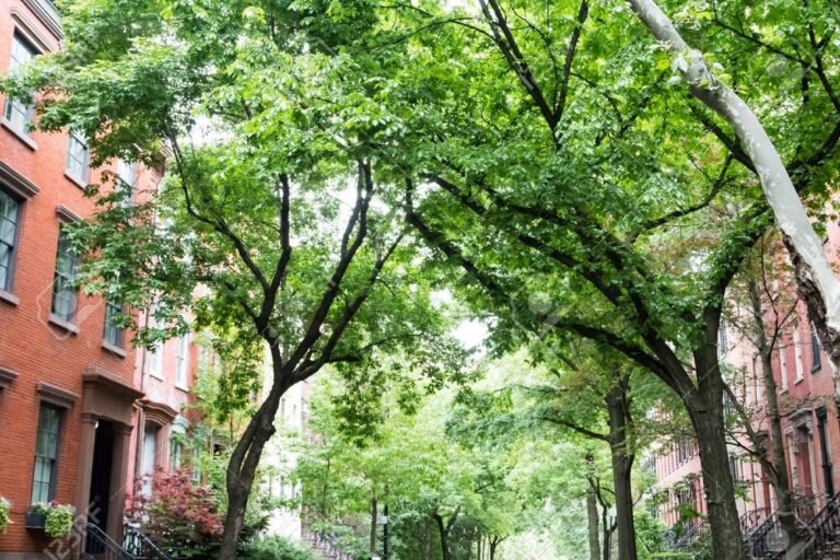 Qué Ofrece El Barrio San Rafael De Villa Nueva Para Vivir