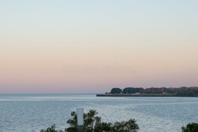 Qué hacer y qué visitar en Vicente López, Buenos Aires 30 costanera vicente lopez vista panoramica rio