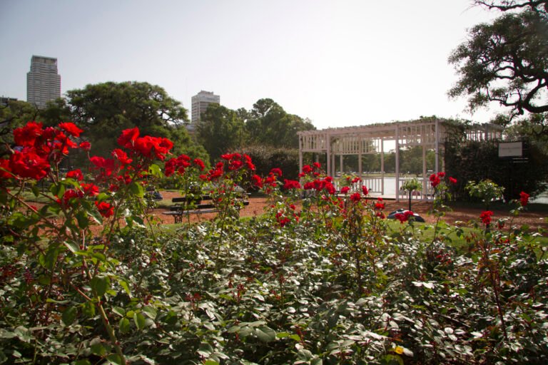Qué actividades y lugares ofrece el Parque Tres de Febrero en Buenos Aires