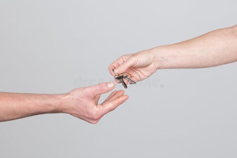 Se Puede Transferir La Calidad De Mero Poseedor Según La Ley