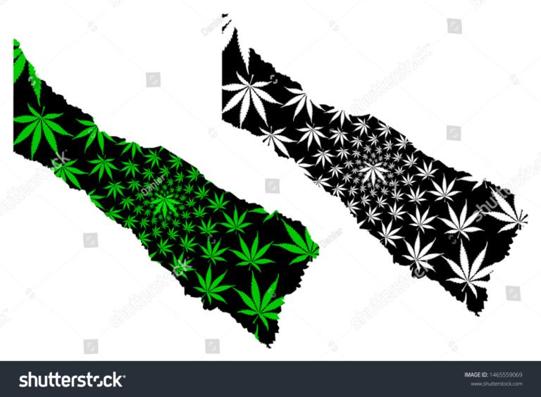 Es legal la marihuana en Argentina y qué dice la ley actual 9 mapa de argentina con hoja de marihuana verde