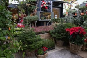 mercado al aire libre con plantas variadas