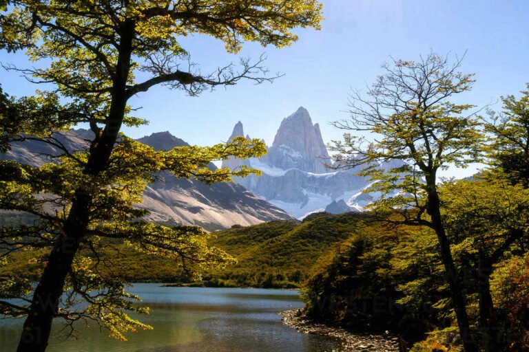 paisaje lagunar con montanas y bosque patagonia
