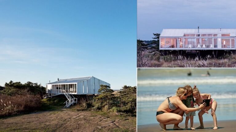 Qué Ofrecen Las Chacras De Mar Azul Para Vacacionar 19 paisaje natural chacras mar azul playa verano