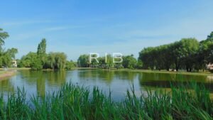 paisaje natural lago y casas en pilar