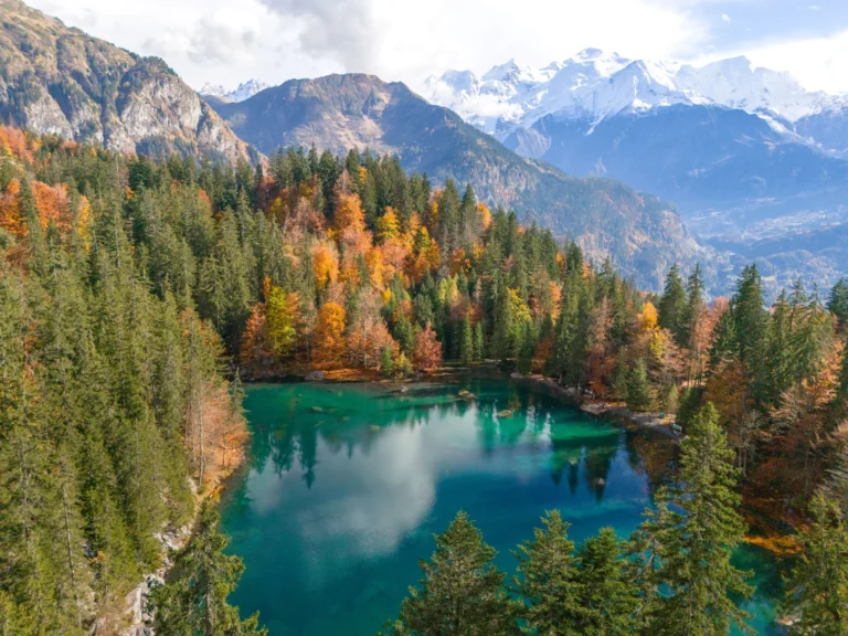 Qué actividades y atracciones ofrece Don Julián en Paso de la Patria 8 paisaje natural y actividades acuaticas en paso