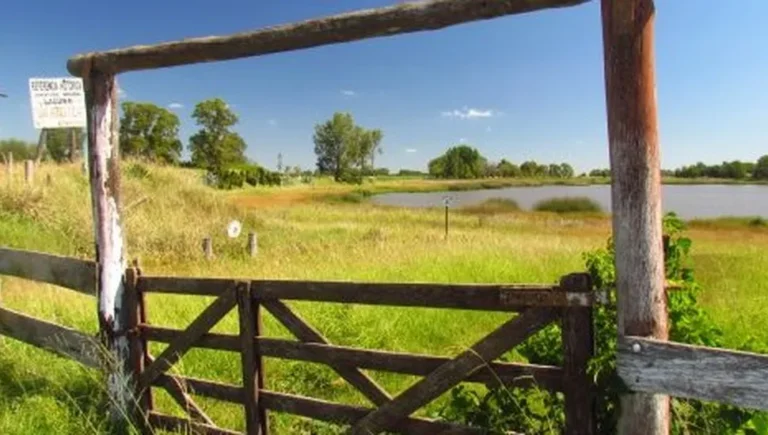 Dónde Se Encuentra General Viamonte y Cuáles Son Sus Atractivos 8 Dónde Se Encuentra General Viamonte y Cuáles Son Sus Atractivos