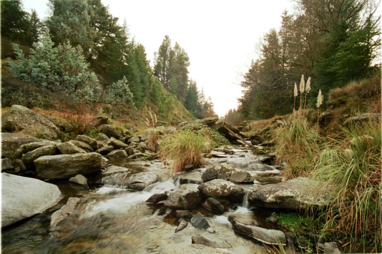 paisajes naturales sierras sur rio cuarto