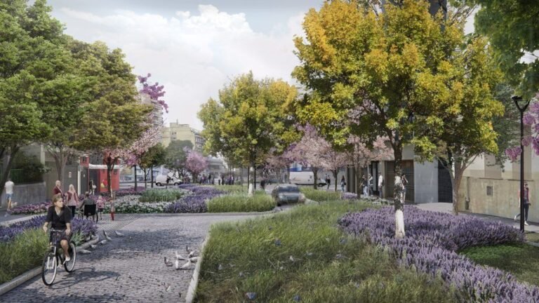 Qué lugares y servicios ofrece Villa Gral Mitre en CABA 17 parque y calles arboladas en villa mitre