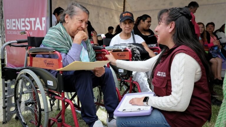 Qué Es La Pensión No Contributiva Por Invalidez Y Quién La Puede Cobra