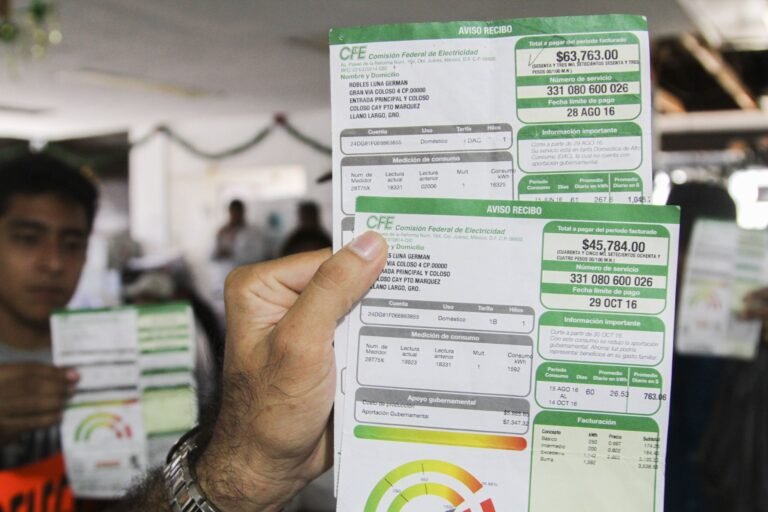 Cómo puedo inscribirme al subsidio de luz en Argentina 12 persona pagando factura de luz hogar