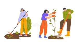 personas participando en actividades comunitarias outdoors