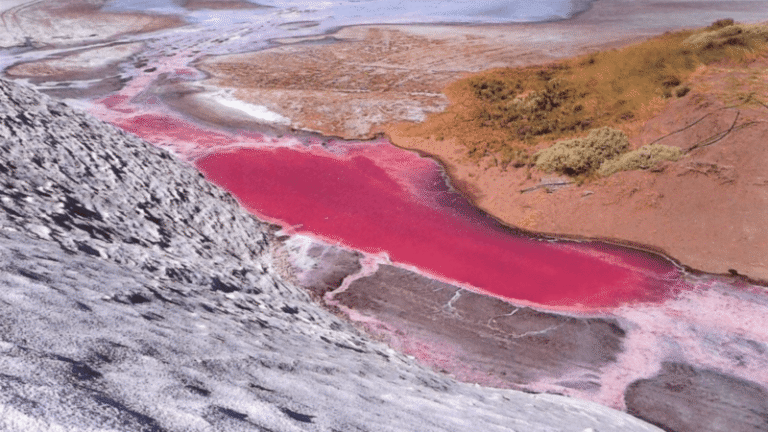 rio colorado serpenteando en paisaje pampeano