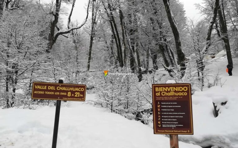 Qué actividades se pueden hacer en Bariloche a pie para disfrutar 6 Qué actividades se pueden hacer en Bariloche a pie para disfrutar