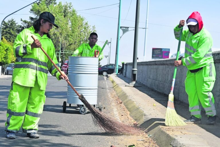 Dónde encontrar empresas de limpieza en La Plata para tu CV 3 Dónde encontrar empresas de limpieza en La Plata para tu CV