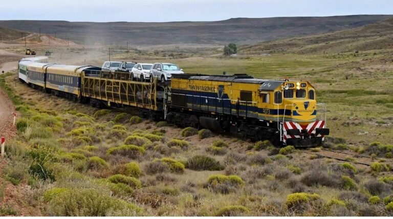 Cómo Funcionan Los Trenes De Carga En Argentina Y Cuál Es Su Importancia