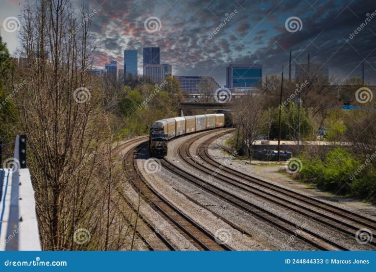 Cómo llegar en tren desde Buenos Aires hasta Tigre 2 tren en via ferroviaria con paisaje urbano