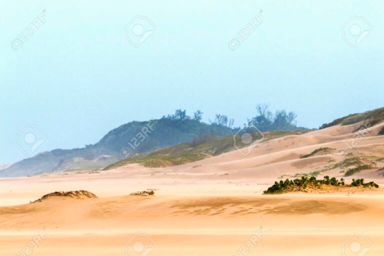 Qué efectos tiene el viento en Caleta Olivia y su clima local 2 viento fuerte soplando en paisaje costero